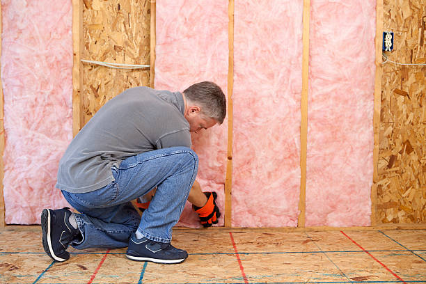 Best Energy Efficiency Solutions in Noel, MO